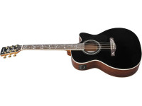 Ibanez AW391RCE-BKH Ibanez AW391RCE-BKH
